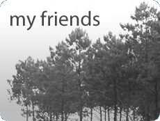 My Friends